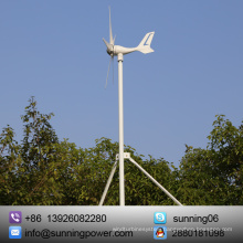 Eco-Worthy 12/24 Volts 300 Watts Wind Solar Powered System: 12V/24V 300W Wind Turbine Generator